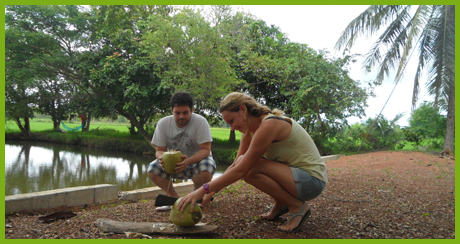 Cutting coconut